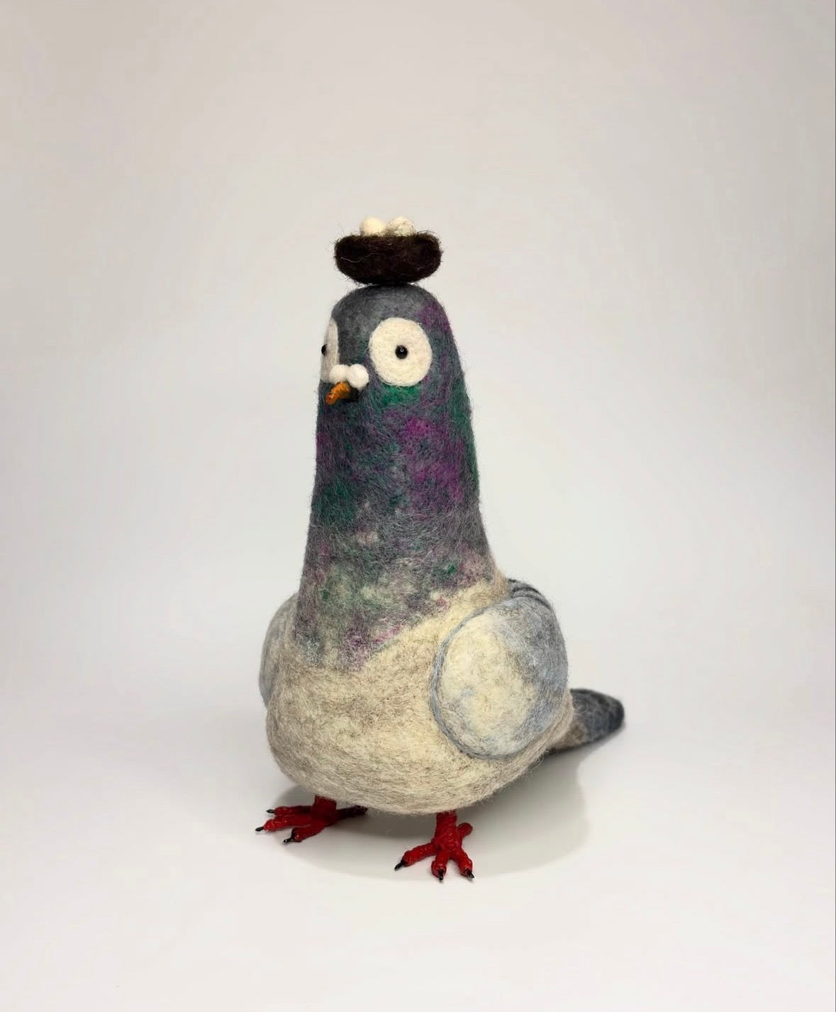 Sky the Pigeon