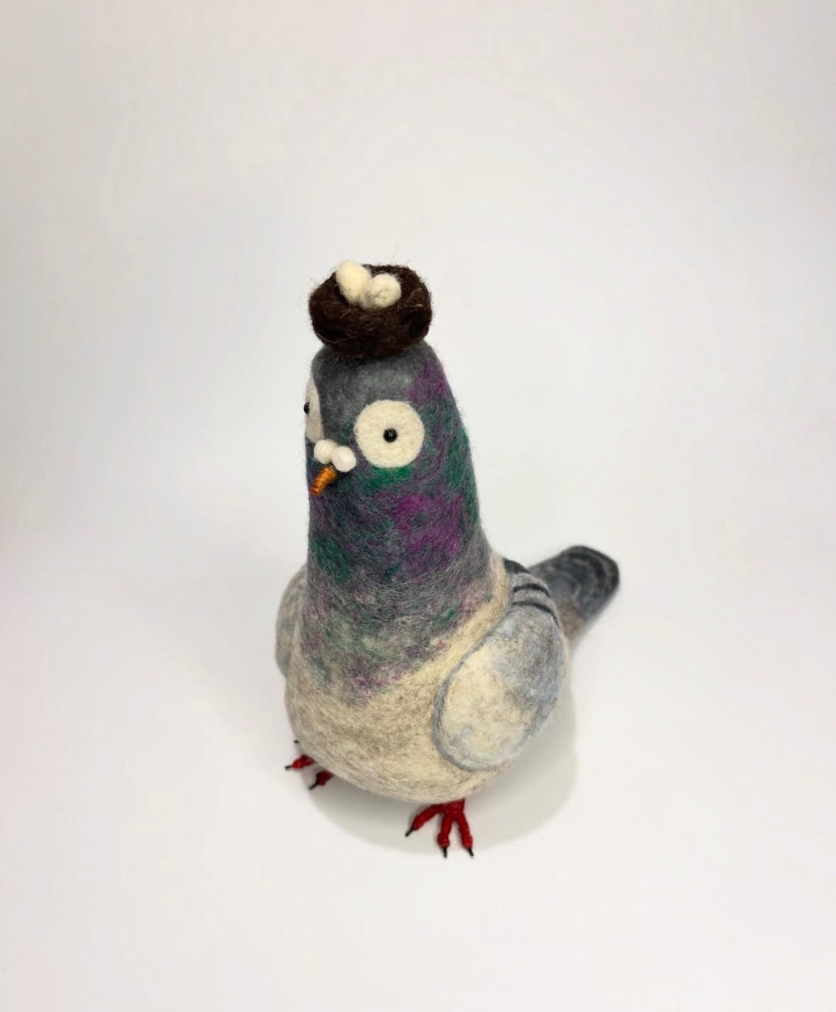 Sky the Pigeon