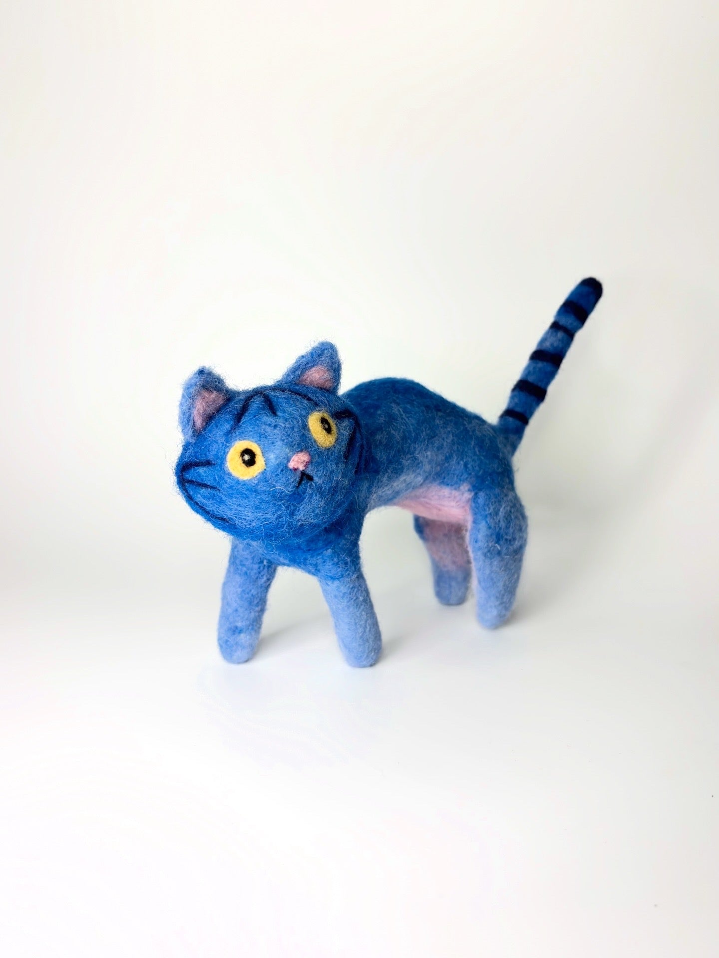 Water Cat
