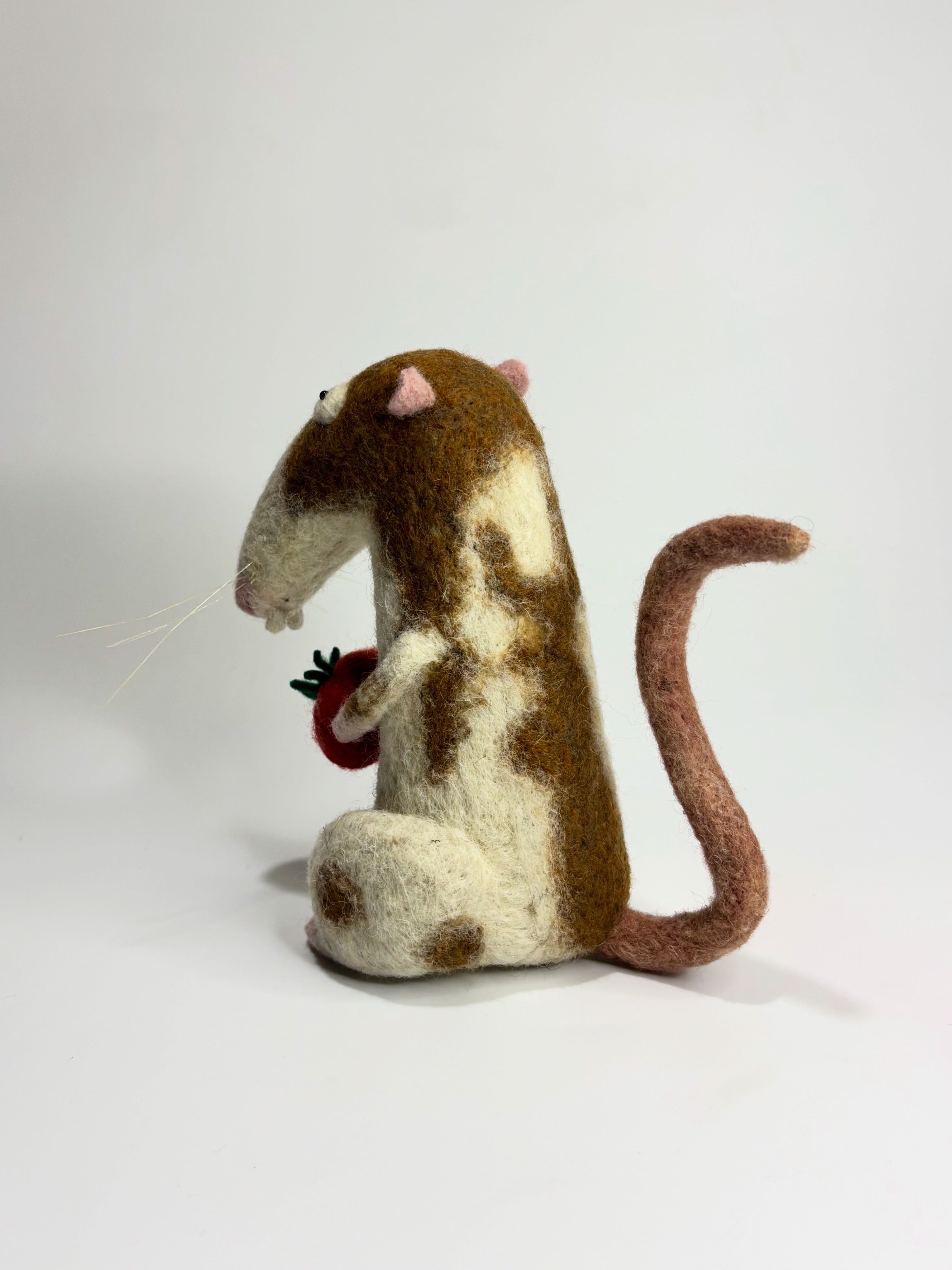 TOMATO RAT
