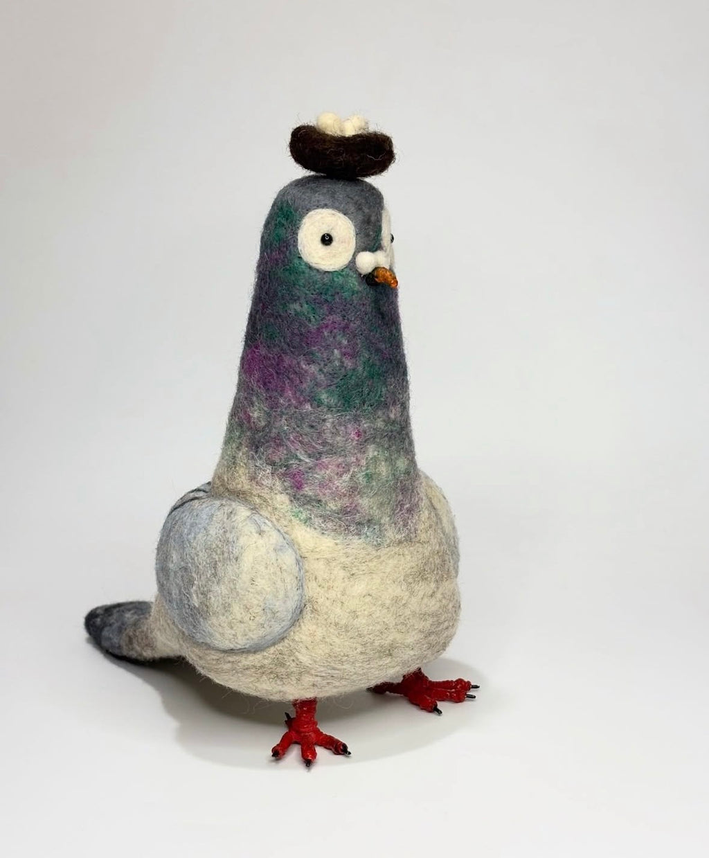 Sky the Pigeon